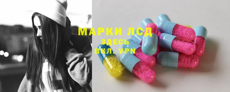 что такое   Тайга  ЛСД экстази ecstasy 